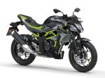 Kawasaki Z 125