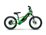 Kawasaki Elektrode 20